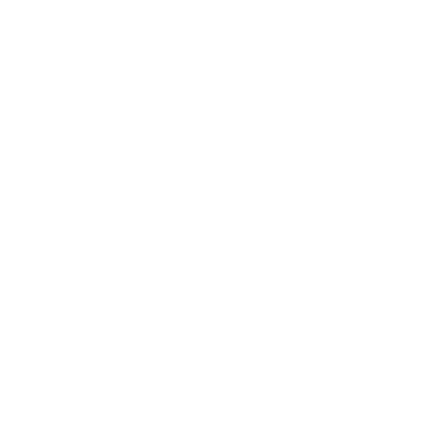 advanceautoindustries